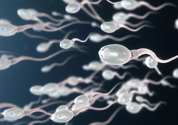 Манекендердің порносына арналған Кама Сутра