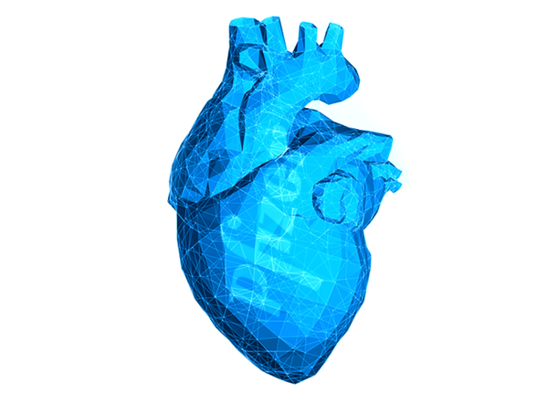 Влияние ингибиторов фосфодиэстеразы-5 на сердце