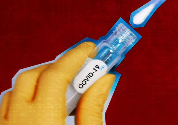 Временные профили вирусной нагрузки в образцах отделяемого с задней ...