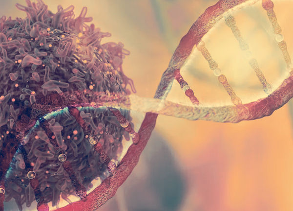 Программное обеспечение точно определяет происхождение человека по ДНК ...