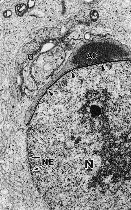 Виктория Лукина секс видео