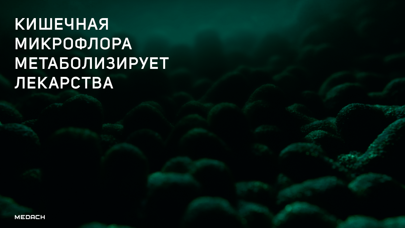 Кишечная микрофлора метаболизирует лекарства