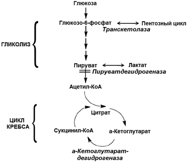 Синдром Вернике-Корсакова