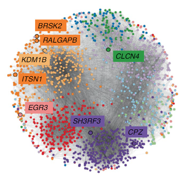 Осколки спектра