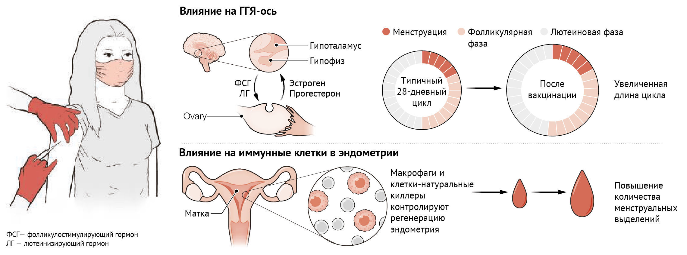 как сперма влияет на женское здоровье фото 48