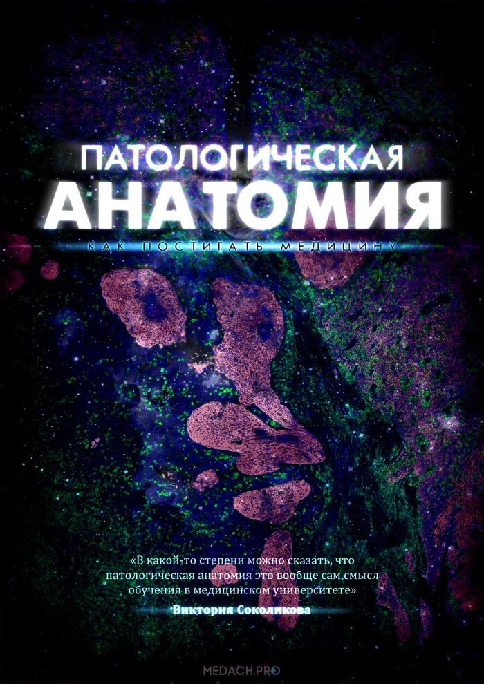 Что такое патологическая анатомия. Смотреть фото Что такое патологическая анатомия. Смотреть картинку Что такое патологическая анатомия. Картинка про Что такое патологическая анатомия. Фото Что такое патологическая анатомия