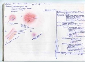 Что такое патологическая анатомия. Смотреть фото Что такое патологическая анатомия. Смотреть картинку Что такое патологическая анатомия. Картинка про Что такое патологическая анатомия. Фото Что такое патологическая анатомия